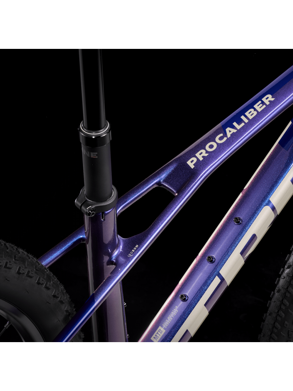 Bicicleta MTB TREK Procaliber 9.5 Deore 12V. H. Rockshox Judy Gold Purpura/Azul