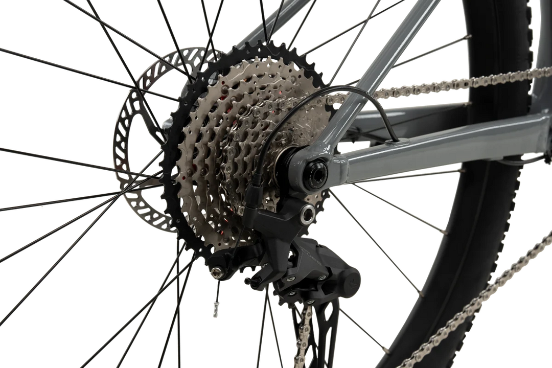 XDS X-LAB MT2